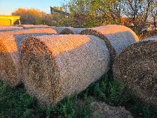 Alfalfa Hay Bales for Sale - Small Round