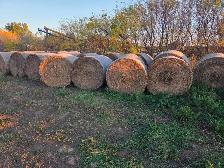 Alfalfa Hay Bales for Sale - Small Round - Photo 2