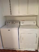 3 1/2 Plateau Mile-End - Photo 9