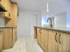 Maison neuve à vendre - 77 Rue Jolicoeur, Hull (Gatineau) - Photo 9