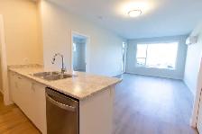 2 Bedroom   Den Apartment for Rent - 657 Redington Avenue - Photo 2