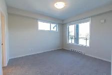 2 Bedroom   Den Apartment for Rent - 657 Redington Avenue - Photo 8
