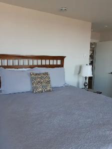 PENTHOUSE FURNISHED 2BDRM 2BATH HALIFAX - Photo 3