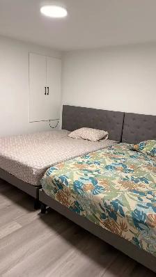 Bright & Spacious New 2-Bedroom Legal Basement for Rent - Photo 2