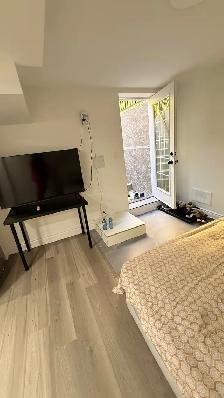 Bright & Spacious New 2-Bedroom Legal Basement for Rent - Photo 12