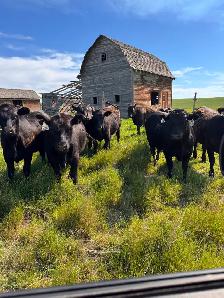 FULL TIME FARM LABOURER POSITION AVAILABLE - Photo 3