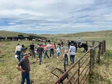 FULL TIME FARM LABOURER POSITION AVAILABLE - Photo 4