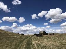 FULL TIME FARM LABOURER POSITION AVAILABLE - Photo 6