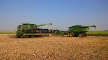 FULL TIME FARM LABOURER POSITION AVAILABLE - Photo 9