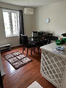 Roommate, Yonge & Sheppard - Photo 8