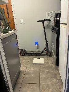 Electric scooter for sale