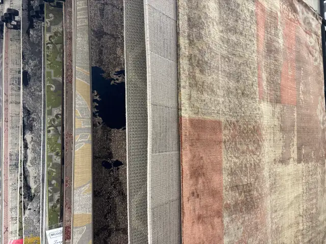 Discount area rugs | Calgary Flooring Deals