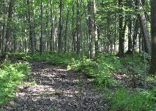 8 Acre Building Lot Ottawa West - Photo 2