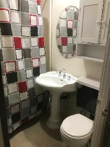 Larger 1BR c/w All utilities/Wifi in east side downtown - Photo 7
