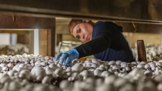 GENERAL LABOUR WORKERS NEEDED – NIAGARA FALLS