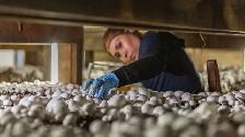 GENERAL LABOUR WORKERS NEEDED – NIAGARA FALLS