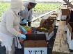 GENERAL LABOUR WORKERS NEEDED – NIAGARA FALLS - Photo 2