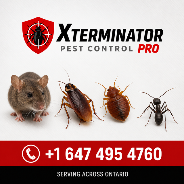 Bed Bug Treatment/ Pest Control/ Call/Text 647-495-4760