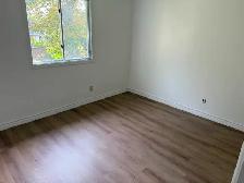 Main Floor Three Bedroom House - Photo 8