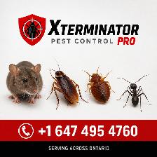PEST CONTROL SERVICES/ Call 647-495-4760/ Best Price