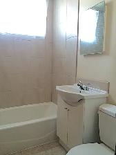 NEW LISTING - Photo 6