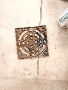 Curb to Kitchen Cleaning and Home Care Services - Photo 9