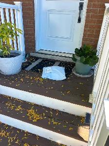 Delivery Driver Cash Today