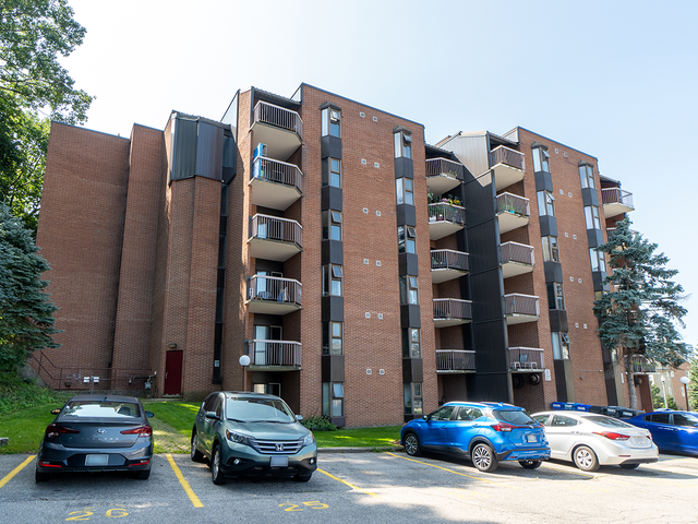 Harris Tower Apt-Great 1-Bedroom Apartment- Cambridge