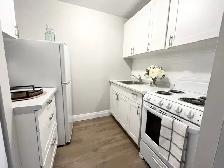 Harris Tower Apt-Great 1-Bedroom Apartment- Cambridge - Photo 8