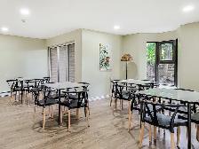 Harris Tower Apt-Great 1-Bedroom Apartment- Cambridge - Photo 12
