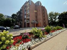 Harris Tower Apt-Great 1-Bedroom Apartment- Cambridge - Photo 13