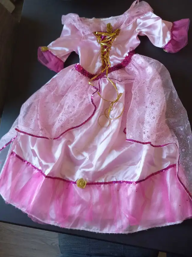 pricess dress costume