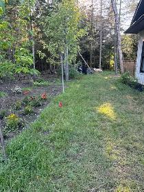 Installer for hidden dog fence system