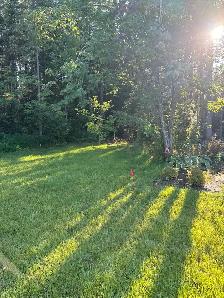Installer for hidden dog fence system - Photo 3