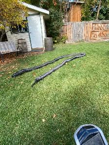 free down spout extension