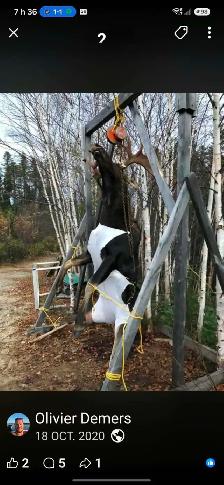 CAMP DE CHASSE - Photo 6