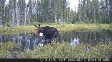 CAMP DE CHASSE - Photo 7