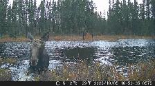CAMP DE CHASSE - Photo 8
