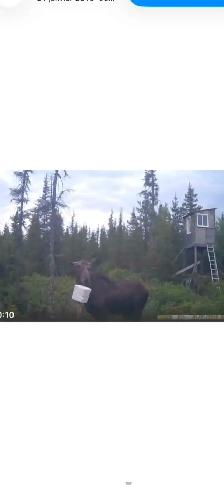 CAMP DE CHASSE - Photo 12