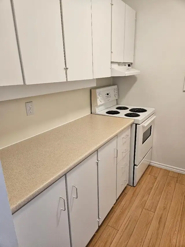 Cooperative Living, Where Everyone Belongs