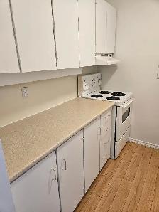 Cooperative Living, Where Everyone Belongs