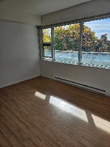 Cooperative Living, Where Everyone Belongs - Photo 4