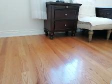 Richmond Hill quiet clean one bedroom Yonge and Elginmills - Photo 8