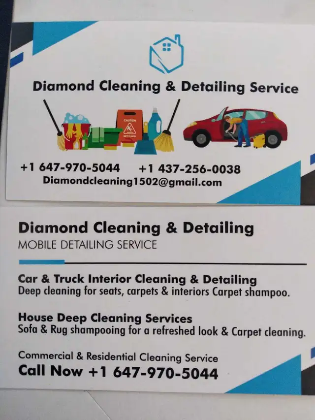 CLEANING and DETAILING, sofa shampoo