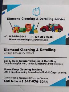 CLEANING and DETAILING, sofa shampoo