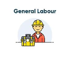 Warehouse Worker – Freezer – Burlington – $20.50/hr
