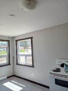 1 BDRM APARTMENT - 20 Min North of Huntsville - Photo 3