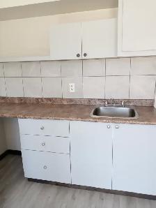 1 BDRM APARTMENT - 20 Min North of Huntsville - Photo 4