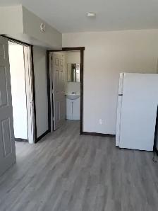 1 BDRM APARTMENT - 20 Min North of Huntsville - Photo 7