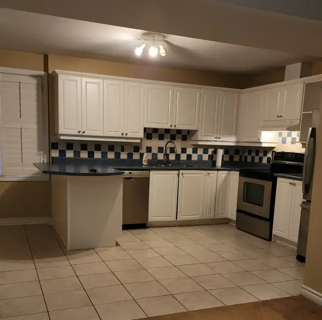 Spacious 2BR Walkout Basement Apartment Prime Location Newmarket